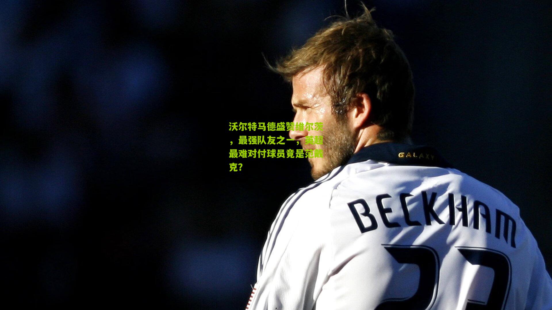 沃尔特马德盛赞维尔茨，最强队友之一，英超最难对付球员竟是范戴克？